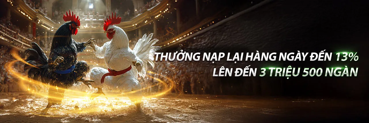 Các chương trình khuyến mãi hấp dẫn của A99